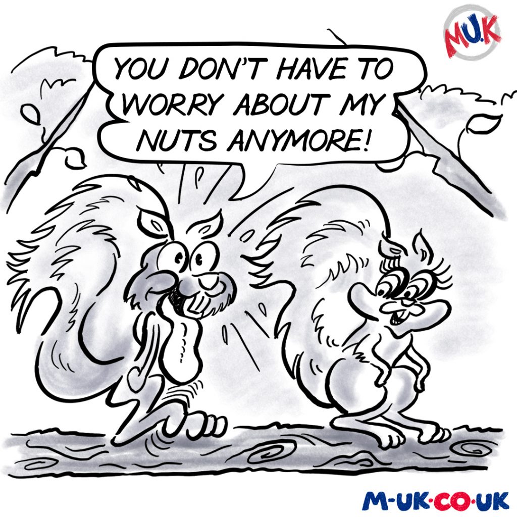 m-uk-squirrels-contraception